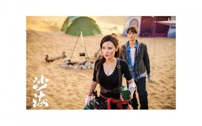 ​以下哪一项不是针对壮年期的企业