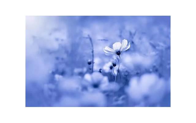 女性高潮会被什么因素影响?最容易影响女性高潮的八大因素 女性高潮会被什么因素影响?最容易影响女性高潮的八大因素