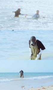 ​《向往的生活》彭彭是谁？